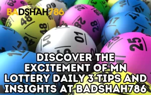 mn lottery daily 3